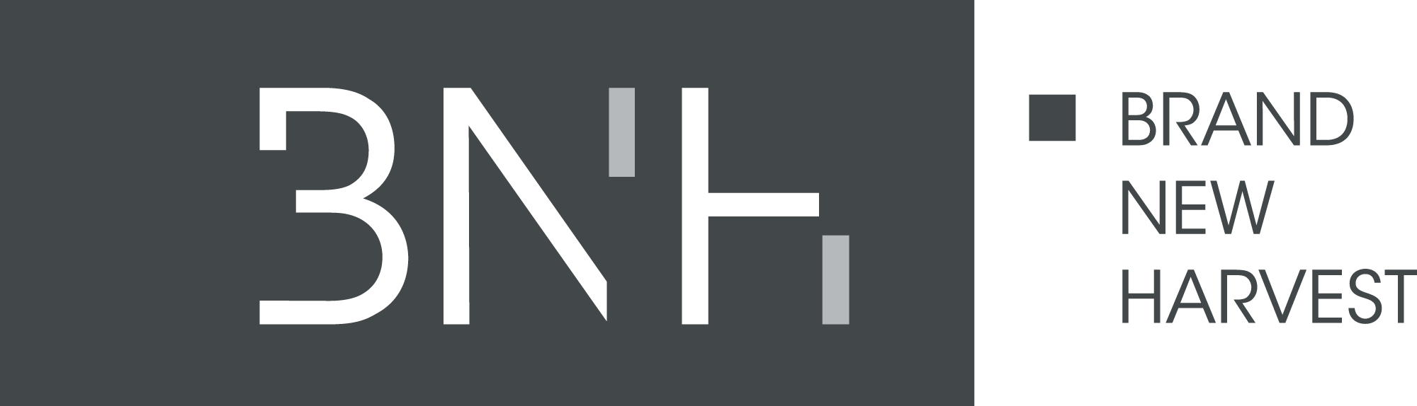 BNH-WEBSITE-SEPARATES-2 (1)